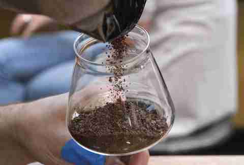 Garlic Beer - Dogfish Head - Birreria - Eataly