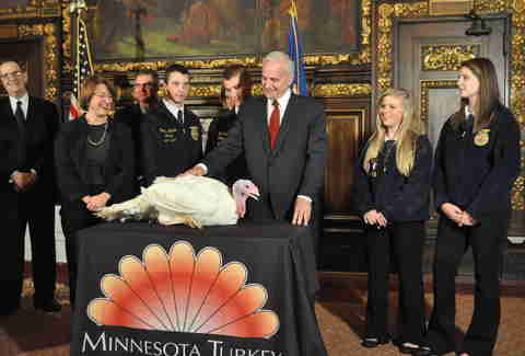 Governor Mark Dayton turkey