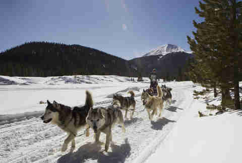 Good Times dog sledding, Breckenridge, Colorado