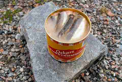 Fish in brine