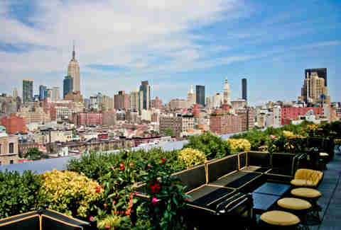 PHD nyc