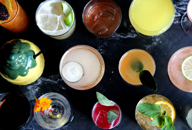 trick dog san francisco california