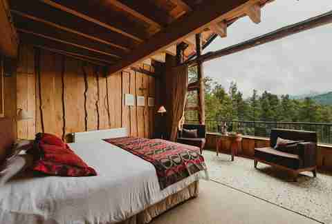 treehouse suite, bed, window