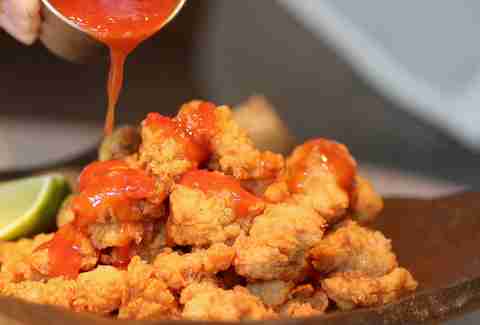 fried gator