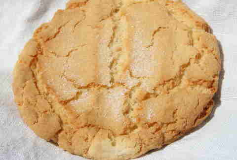 sugar cookie