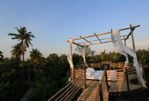 Bangkok Tree House