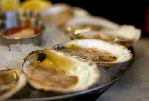 Oysters