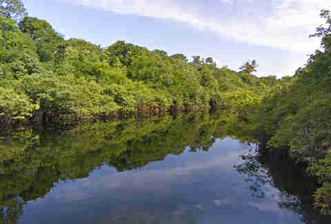 Rio Negro on the Amazon