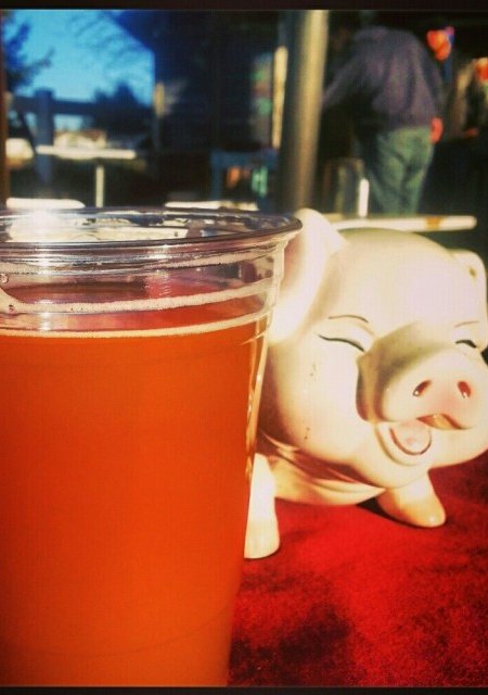 slippery pig pickle sour