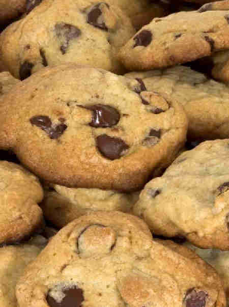 chocolate chip cookies