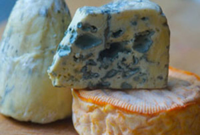 Stinky Cheese Festival
