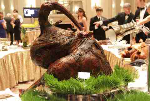 Ostrich