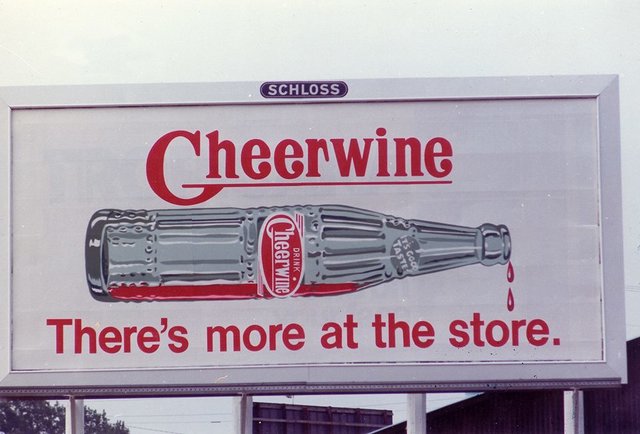 14-things-you-didn-t-know-about-cheerwin