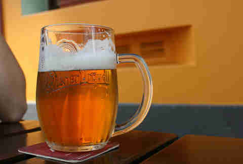 pilsner beer