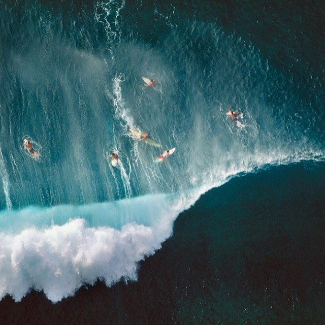 surfers in hawaii