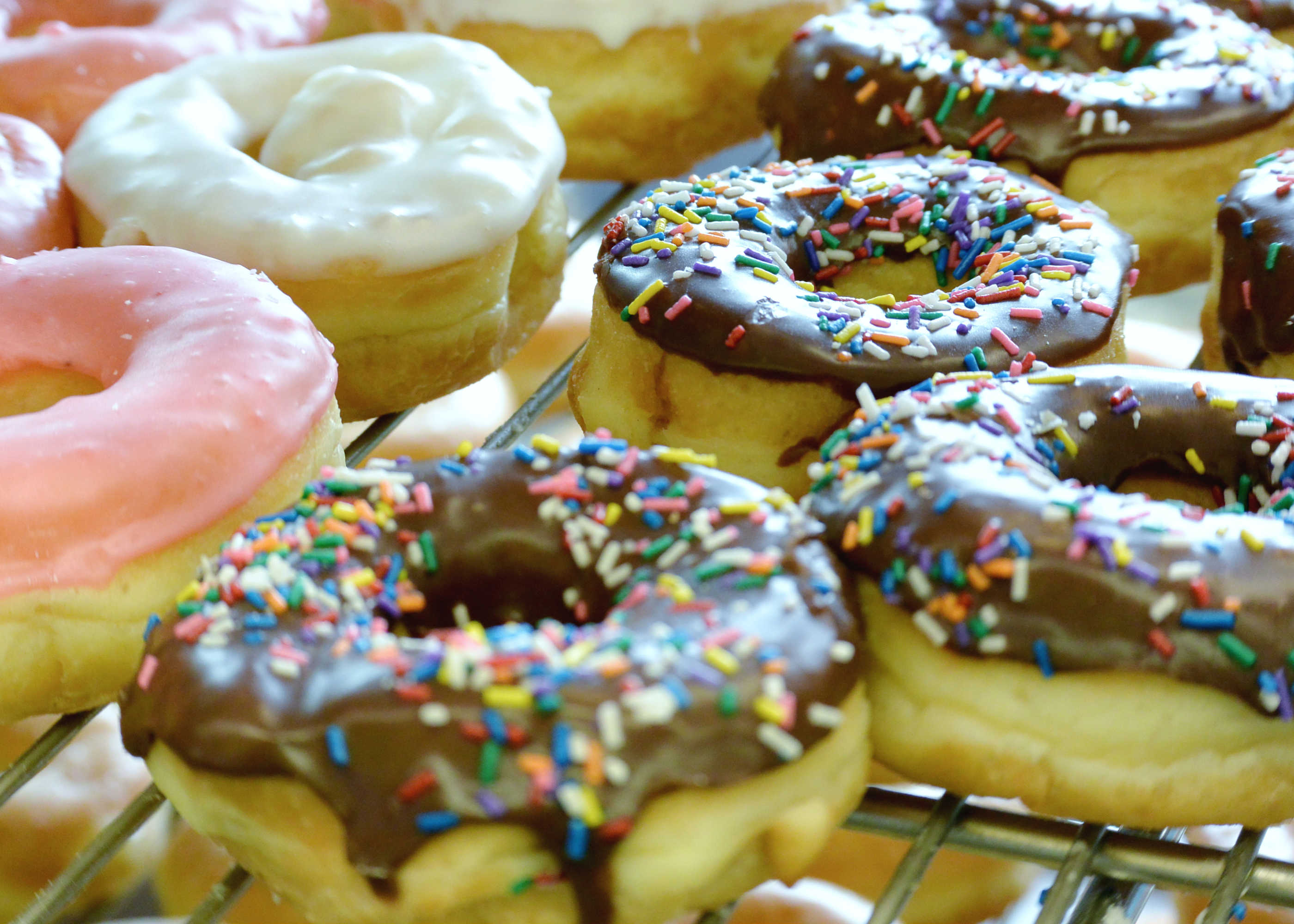Best Donuts in America Best Donut Shops in America