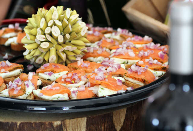 Austin Food & Wine Festival in Pictures