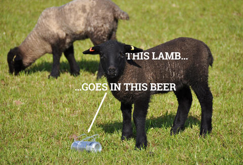 lamb and beer
