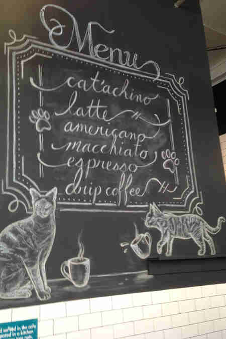 cat cafe nyc