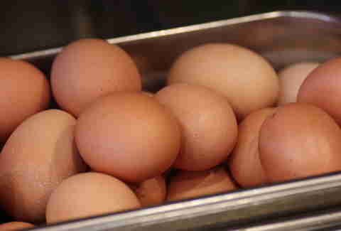 eggs at modmarket
