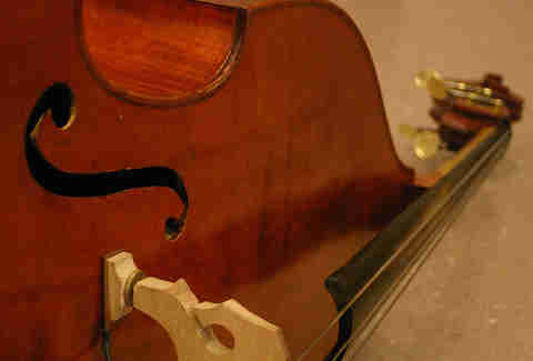 bass