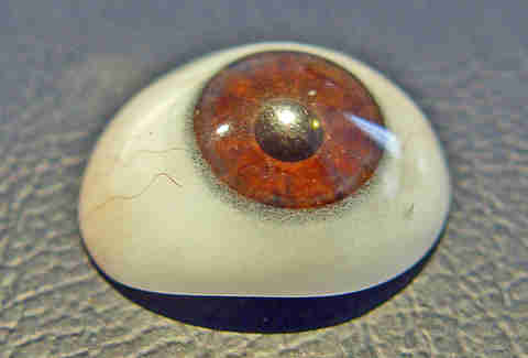 glass eye
