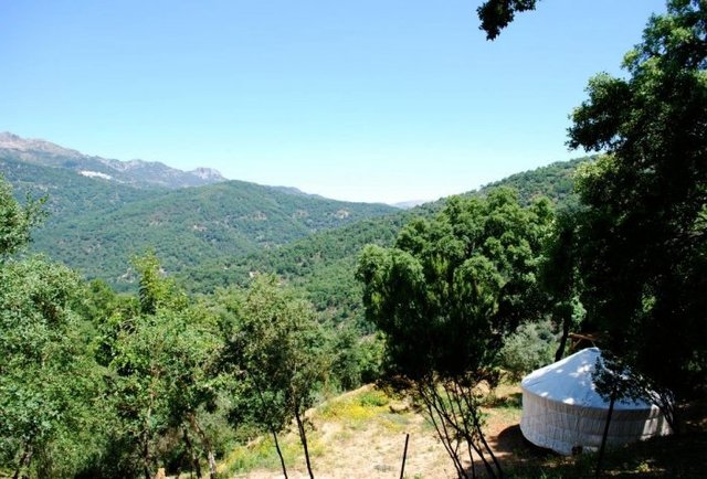 Cloud House Farm Yurts