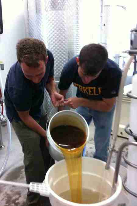 mead drink
