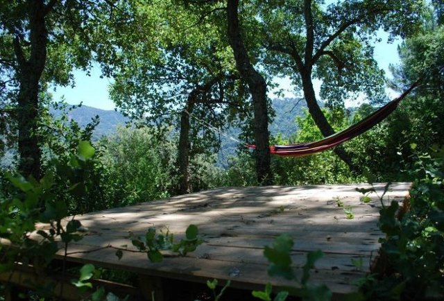 Cloud House Farm Yurts