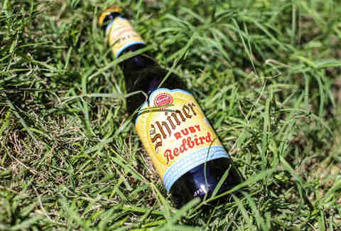 Shiner Ruby Redbird