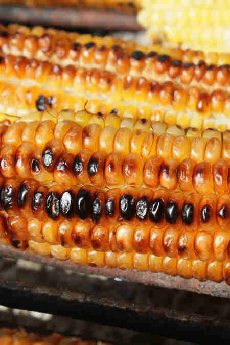 grilled corn