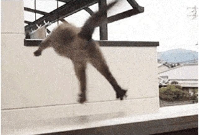 BlckGifs.com