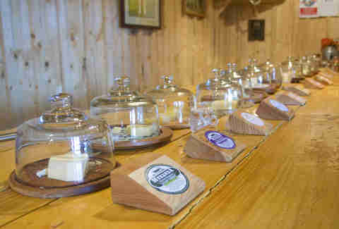 Finger Lakes Cheese Trail