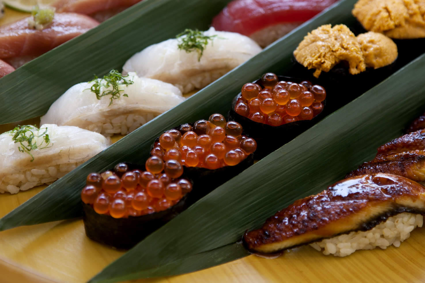 Miami Spice Best Miami Spice Deals