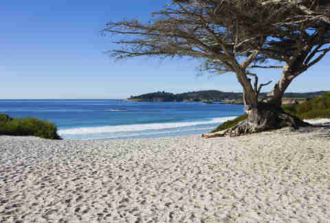 Beach Drinking Best Public Beaches To Legally Drink On