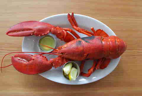 Greenpoint Fish & Lobster Co - Seafood NYC