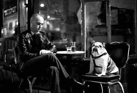 Cafe Dog