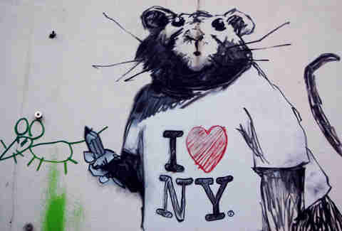 99 Problems with NYC