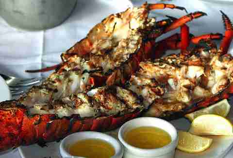 lobster