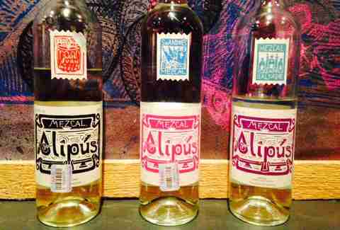 Tequila Why Houston is the Best