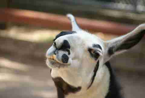 Staten Island Most Underappreciated Nyc Borough Thrillist