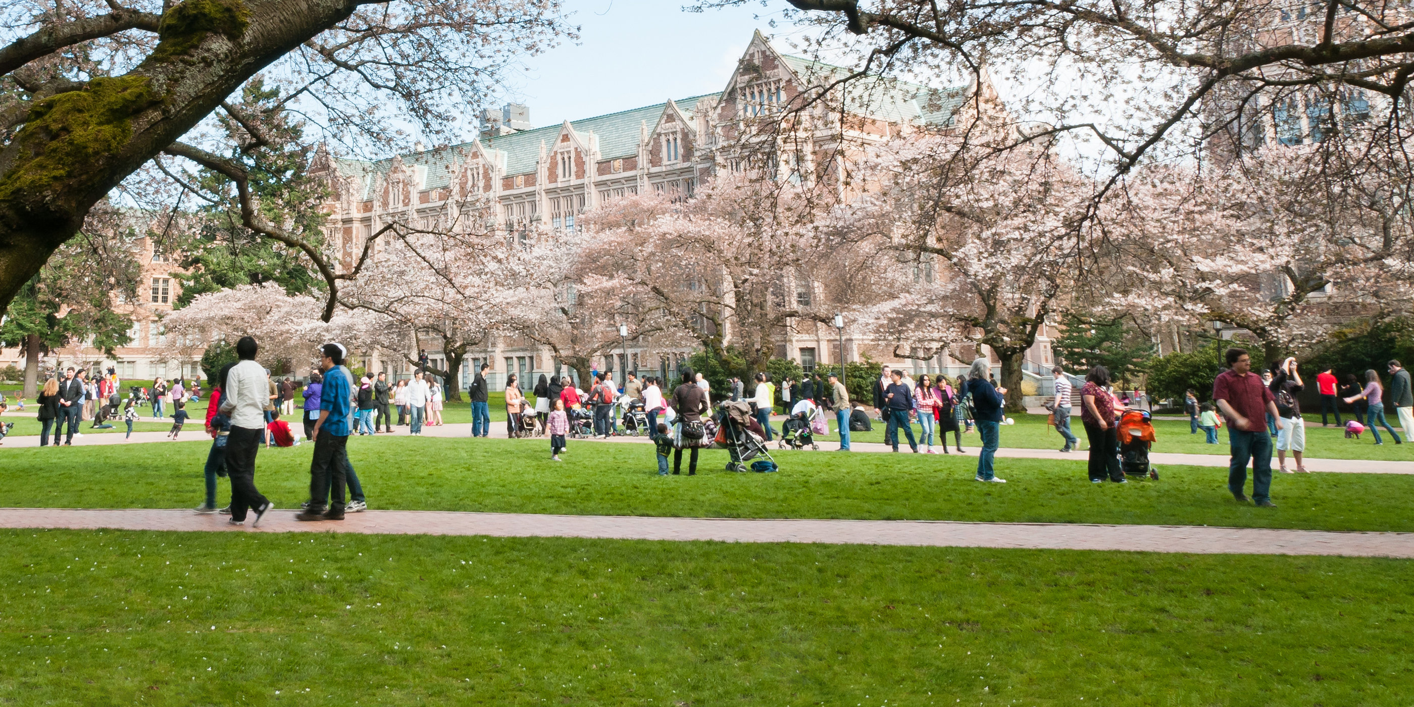 The 25 Most Beautiful College Campuses In America