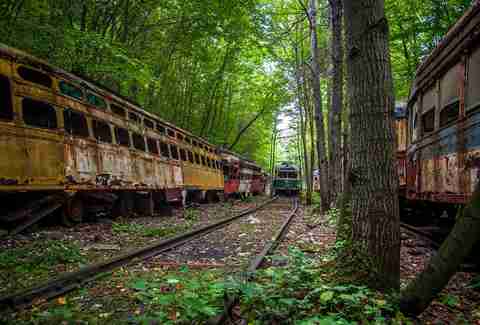 trains forest