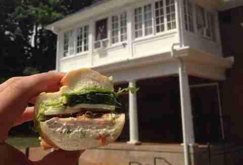 the ednam sandwich