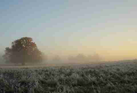 Richmond Park