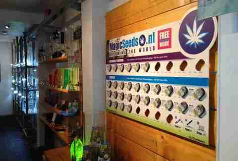 Chills & Thrills Of Amsterdam