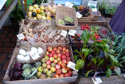 Organic Vegetables at the Stroud Farmers Market