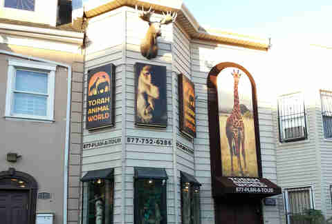Torah Animal World
