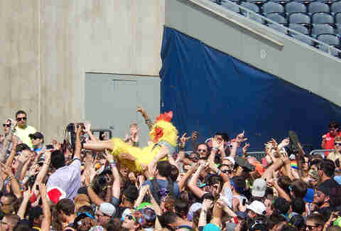 porn n chicken
