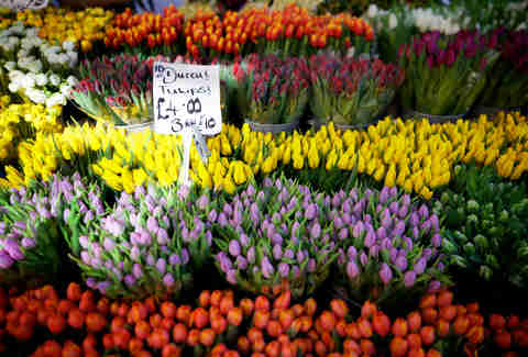 flower market